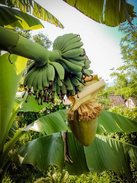 Il Giardino Delle Farfalle Valgioie Екстериор снимка